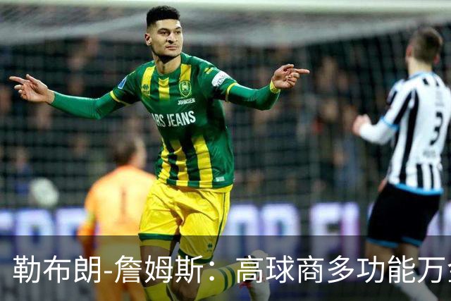 勒布朗-詹姆斯：高球商多功能万金油多位置能力者！